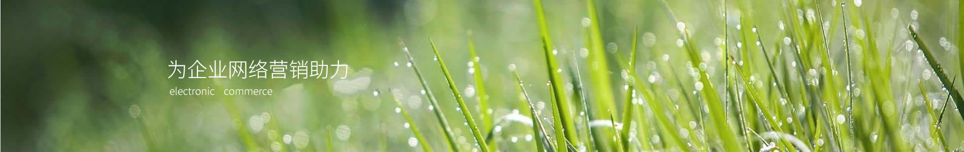 лҵ޹˾